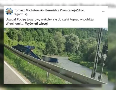 Miniatura: Pociąg towarowy wykoleił się na południu...