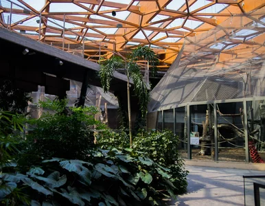 Miniatura: Nocowanie w zoo z okazji Halloween....