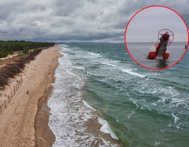 Miniatura: Sztorm wyrzucił dwa „giganty” nad...