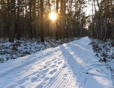 Miniatura: Klimatyczne miejsce 50 minut od centrum...