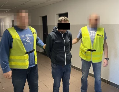 Miniatura: Głośna sprawa potrącenia 14-latki. Sprawca...