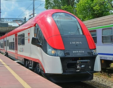 Miniatura: Nad morze nie tylko z Intercity. Rusza...