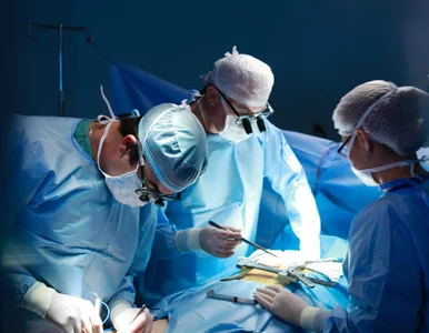 Miniatura: Pierwsze takie badanie na świecie. Zbadają...