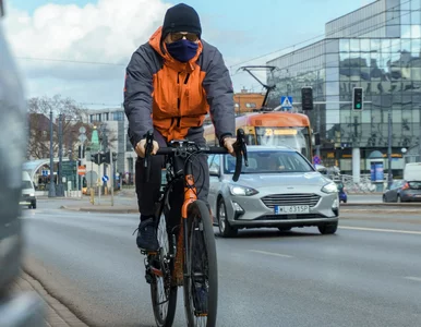 Miniatura: Czy strefy czystego transportu...