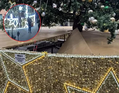 Miniatura: Chciały zrobić zdjęcie przy choince....