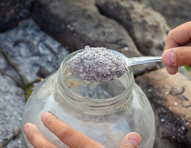 Miniatura: Wsyp garść do ziemi. Rośliny odżyją...