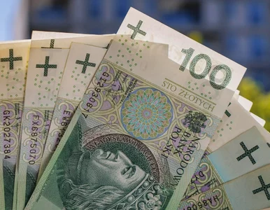 Miniatura: Będzie nowe 1000 plus. Trzeba spełnić...