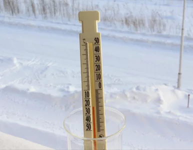 Miniatura: Zima nie powiedziała jeszcze ostatniego...