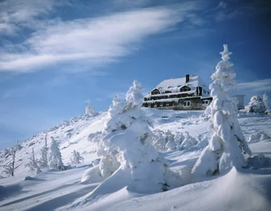 Miniatura: Uwielbiana polska trasa otwarta. Tutaj...