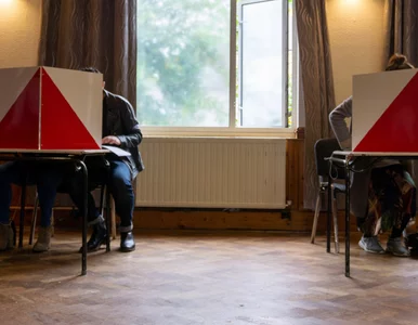 Miniatura: Czy Polacy w ogóle chcą ponownego...