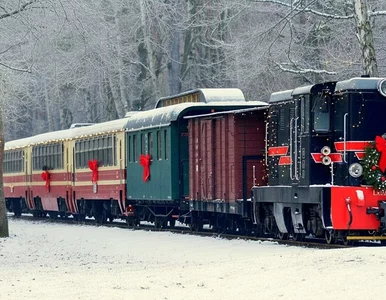 Miniatura: Zabytkowy pociąg dojedzie do lasu....