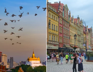 Miniatura: Turyści oszaleją na punkcie takich...