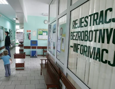 Miniatura: Bezrobocie w Polsce. Tak źle nie było od 5...