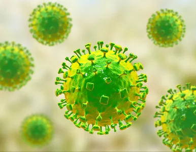 Miniatura: Zwiększona kontrola na lotniskach po...