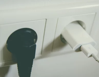 Miniatura: Oto cichy pożeracz prądu. Polacy...