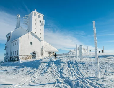 Miniatura: Tanie bilety PKP Intercity. Promocja na...