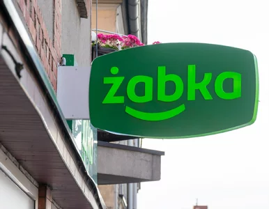 Miniatura: Czy Żabka będzie otwarta 24 grudnia? Sieć...