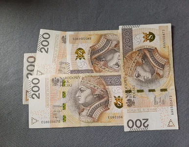 Miniatura: Rada Fiskalna ma już skład. Nowa...