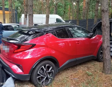 Miniatura: Oni naprawdę istnieją. Grupa Kobra działa...