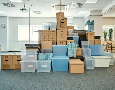 Miniatura: Raport IKEA: 80 proc. Polaków nie wyrzuca...