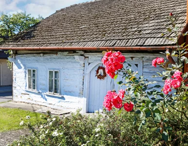 Miniatura: Jedna z najpiękniejszych wsi w Polsce....