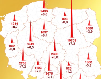 Miniatura: Gdzie żyją polscy milionerzy? Fiskus...
