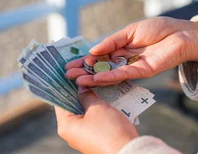 Miniatura: Nowy sposób na dodatkową emeryturę. UE...