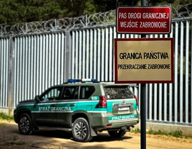 Miniatura: Tak Polska chce odstraszyć nielegalnych...
