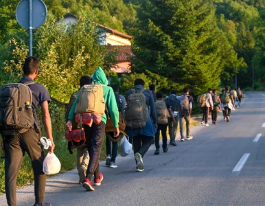 Miniatura: Kraj UE odeśle migrantów do domów. Decyzja...