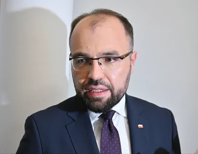 Miniatura: Poseł PiS krytycznie o decyzji własnej...