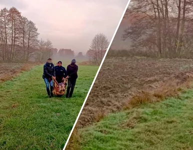 Miniatura: Rodzina poinformowała o zaginięciu...