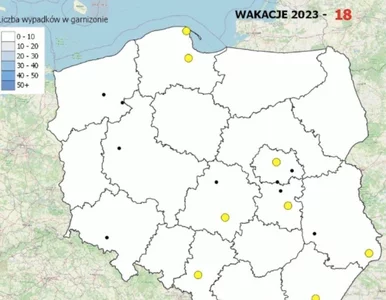 Miniatura: Policyjna Mapa Wypadków Drogowych po raz...