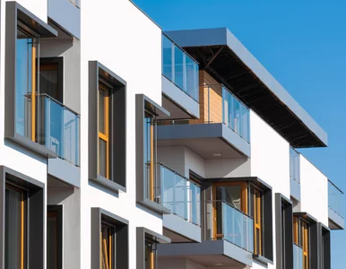 Miniatura: Komórki lokatorskie to prawdziwy hit....