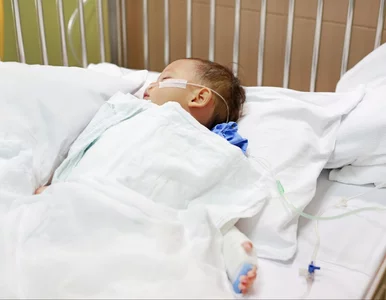 Miniatura: Pediatra: Absolutne zatrzęsienie chorych...