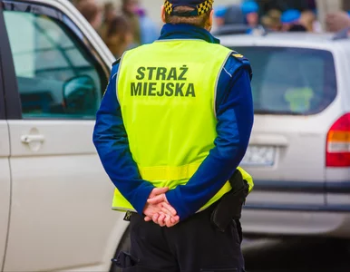 Miniatura: Straż miejska zyskała nowe uprawnienia...