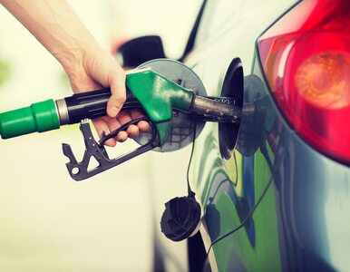 Miniatura: Ceny ropy naftowej jednak mogą spadać....