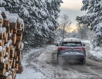 Miniatura: Gdy śnieży w górach. Wszystko o łańcuchach...