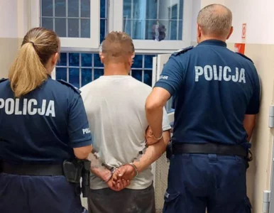 Miniatura: Znęcał się nad kotem, policja trafiła na...