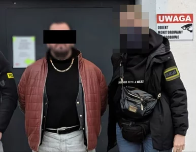 Miniatura: Spektakularna akcja policji w Puławach....