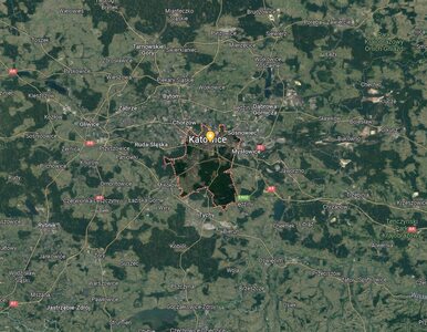 Miniatura: Zatrzęsła się ziemia w okolicach Katowic....