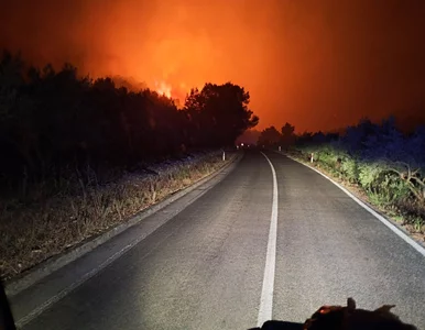 Miniatura: Potężny pożar na chorwackiej wyspie....