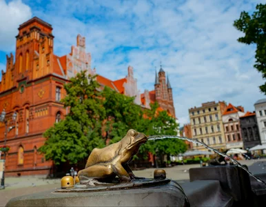 Miniatura: Amerykanie odkryli najpiękniejsze...