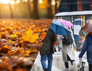 Miniatura: Pogoda w sobotę nie rozpieszcza. Na to...