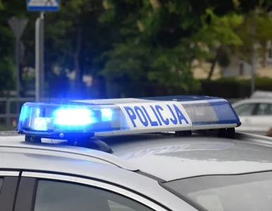 Miniatura: 14-latek potrącony przez pijanego...