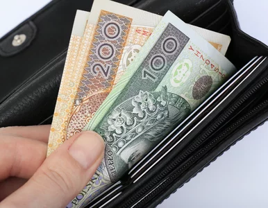 Miniatura: Tylko leasing. Na nim będzie się opierać...