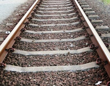 Miniatura: Mężczyzna zginął potrącony przez pociąg
