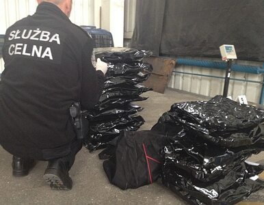 Miniatura: 17 kg narkotyków w torbach podróżnych....