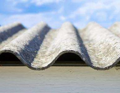 Miniatura: Właściciele tych nieruchomości mają czas...