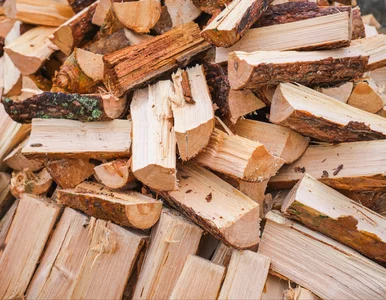 Miniatura: Drewno na opał coraz droższe. Te ceny mogą...