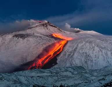 Miniatura: Turyści muszą się trzymać z dala od...